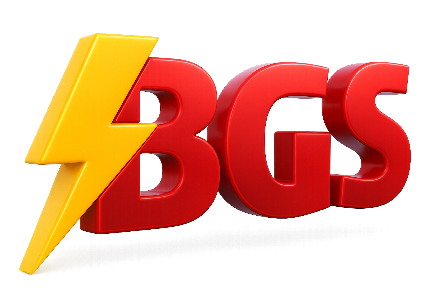 BGS Vision Logo